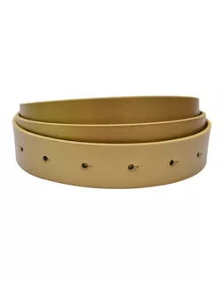 Полотно для ремня и/к,  длина 120см, ширина 2,5см, цвет 9-золото, тип 142 арт. ССФ-535-54-ССФ0017583356