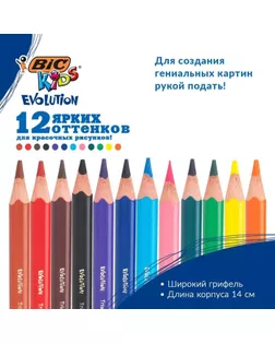 Цветные карандаши 12 цветов, детские, утолщенные. трёхгранные, BIC Kids Evolution Triangle арт. СМЛ-172755-1-СМЛ0001314702