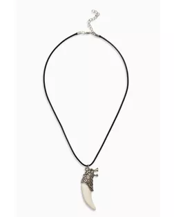 Кулон унисекс "Клык волка", цвет МИКС, 42 см арт. СМЛ-1207-1-СМЛ1411454