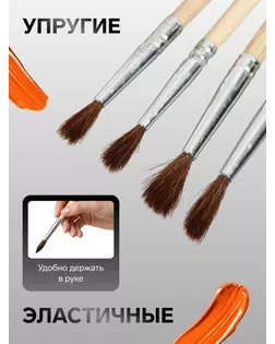 Набор кистей, «Пони», круглые, 4 штуки: № 2, 4, 6, 8, с деревянными ручками, на блистере арт. СМЛ-203635-1-СМЛ0001827410