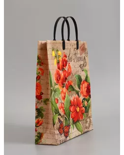 Пакет "Парижанка", мягкий пластик, 30х40 см, 150 мкм арт. СМЛ-285294-1-СМЛ0002564340