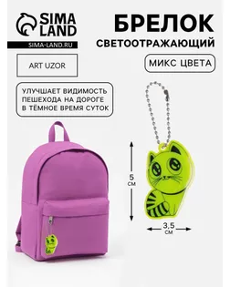 Светоотражающий элемент «Кошка», 5,5 × 3,5 см, цвет МИКС арт. СМЛ-4678-1-СМЛ2414090