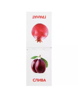 Обучающая книжка по методике Г. Домана «Фрукты», 20 стр. арт. СМЛ-52449-1-СМЛ0003015931