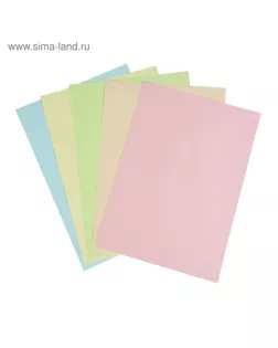 Бумага цветная А4, 100 листов Calligrata Mix, 10 цветов, тонированная в массе, 80 г/м² арт. СМЛ-173795-1-СМЛ0002991497