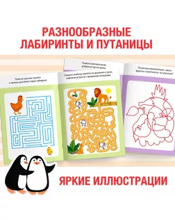 Блокнот с заданиями «Распутай-ка», 20 стр. арт. СМЛ-59862-1-СМЛ0003663647