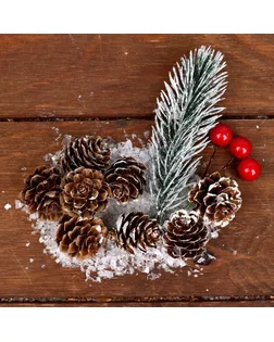 Набор новогоднего декора "Морозные шишки" арт. СМЛ-161794-1-СМЛ0003608265