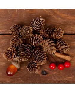Набор новогоднего декора "Пряные шишки"   WS-027 арт. СМЛ-109823-1-СМЛ0003608268