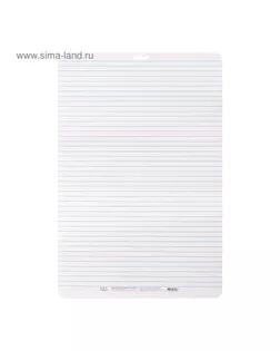 Доска маркерная, A3, двусторонняя: клетка/линейка, синяя арт. СМЛ-194759-1-СМЛ0004005268