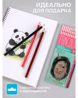 Карандаши 12 цветов FunColor, пластиковые, трёхгранные, МИКС арт. СМЛ-174730-1-СМЛ0004171557