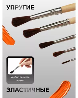 Набор кистей Пони 5 штук, Calligrata №3 (круглые №: 1, 2, 3, 4, 5), деревянная ручка, в пенале арт. СМЛ-205526-1-СМЛ0004352431