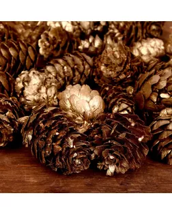 Набор новогоднего декора "Шишки" арт. СМЛ-109856-1-СМЛ0004181993