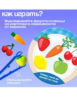 Набор для сортировки-сортер «Вкусная тарелка» арт. СМЛ-121548-1-СМЛ0004655803