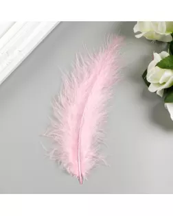 Перья декоративные страусиные, 10-12 см (набор 24 шт) 6 цветов, пастель, ассорти арт. СМЛ-137323-1-СМЛ0005132649