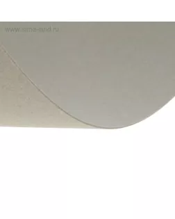 Картон переплетный 0.9 мм, 30*40 см, 40 листов, 540 г/м² , серый арт. СМЛ-177747-1-СМЛ0005109981
