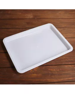 Лоток А4 для рисования эбру арт. СМЛ-245654-1-СМЛ0005135343