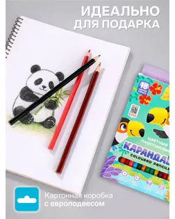 Цветные карандаши 18 цветов ZOO, пластиковые, шестигранные арт. СМЛ-177994-1-СМЛ0005274929
