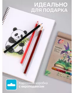 Цветные карандаши 24 цвета ZOO, пластиковые, шестигранные арт. СМЛ-177995-1-СМЛ0005274930