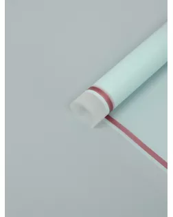 Плёнка для цветов, 57 х 57 см арт. СМЛ-130626-5-СМЛ0005082212