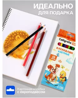 Карандаши 12 цветов Calligrata заточенные, шестигранные, пластиковые, картонная упаковка, европодвес арт. СМЛ-179241-1-СМЛ0005303321