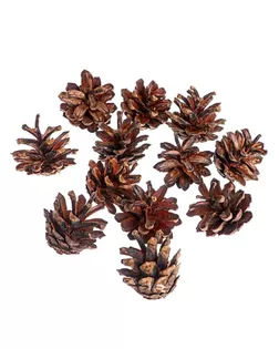 Новогодний декор «Набор натуральных шишек» 12 шт. арт. СМЛ-157733-1-СМЛ0007059391