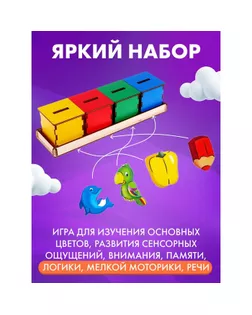 Сортер «Окружающий мир» арт. СМЛ-184037-1-СМЛ0007387024