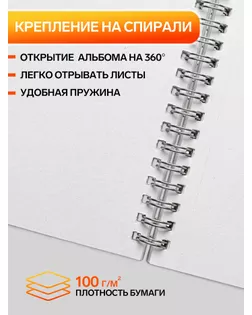 Альбом для рисования А4, 24 листа на гребне «Милые котята» обложка мелованный картон, блок 100 г/м2, перфорация на отрыв, МИКС арт. СМЛ-176560-1-СМЛ0000972467