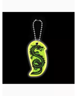 Светоотражающий элемент «Силуэт дракона», двусторонний, 5,8 × 3,1 см, цвет МИКС арт. СМЛ-254408-1-СМЛ0009545474