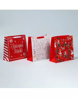 Набор пакетов ламинированных «Снежного Нового года» арт. СМЛ-280820-1-СМЛ0009301252