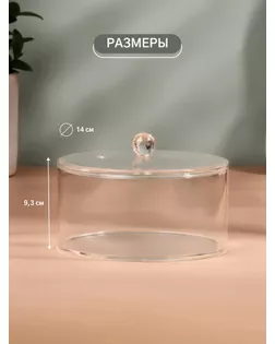 Органайзер для хранения, с крышкой, 14 × 14 × 9,3 см, цвет прозрачный арт. СМЛ-240471-1-СМЛ0010516201