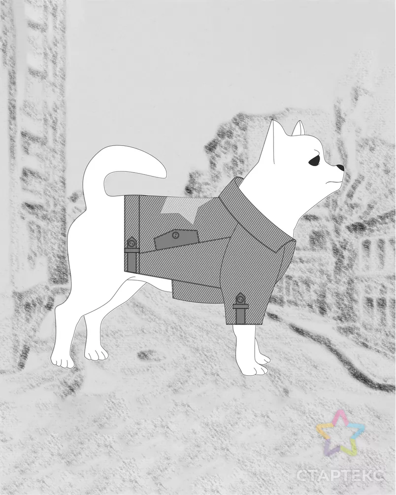 Выкройка: куртка Р-11-1002 арт. ВКК-3113-11-ВП0789 - рис. 1