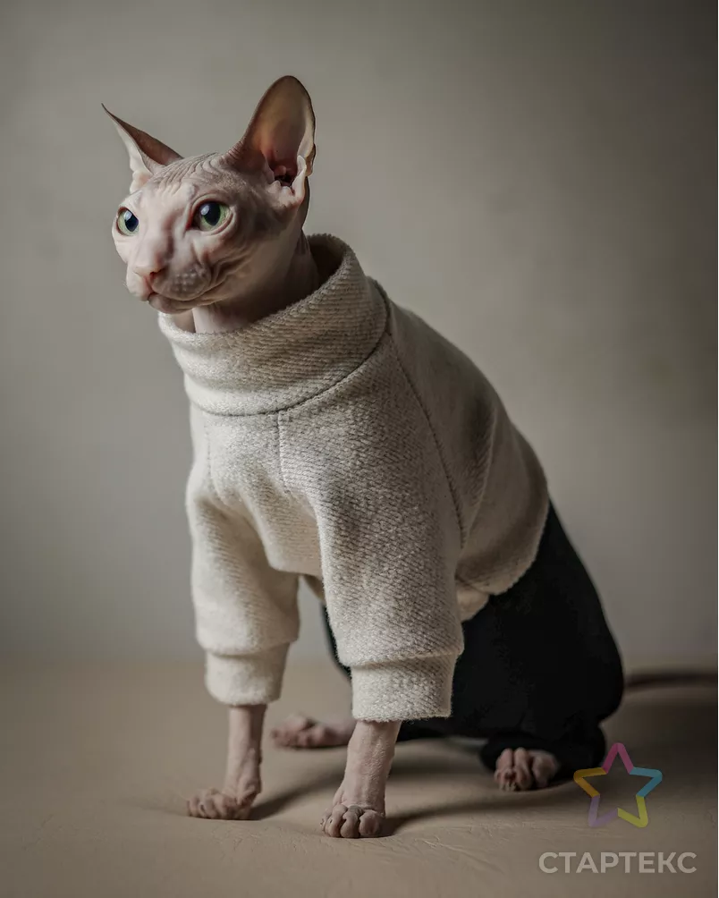 Выкройка: комбинезон CAT Р-27-1001 арт. ВКК-3001-12-ВП0677 - рис. 4