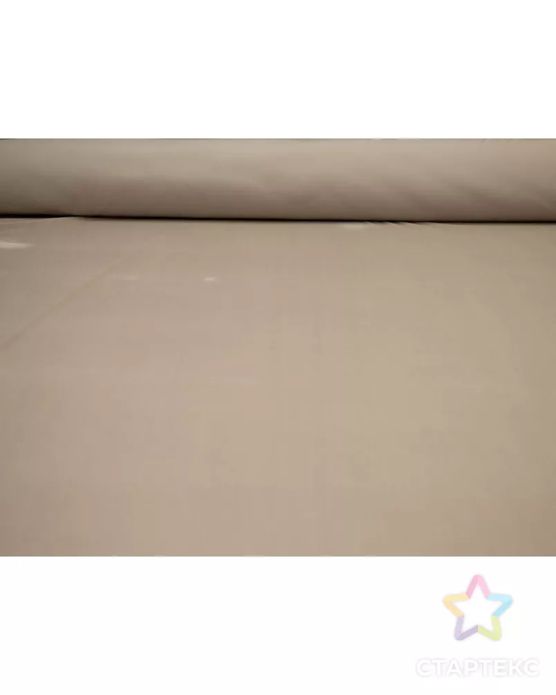 Королевский бархат, цвет бежевый арт. ГТ-8621-1-ГТ-2-10543-1-1-1 - рис. 4