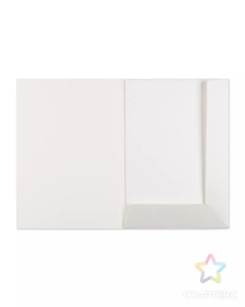 "Expert Complete" Папка для черчения EC1001216 200 г/м2 A4 21 х 29.7 см папка 10 л. арт. ГММ-115936-1-ГММ116324651364 - рис. 1