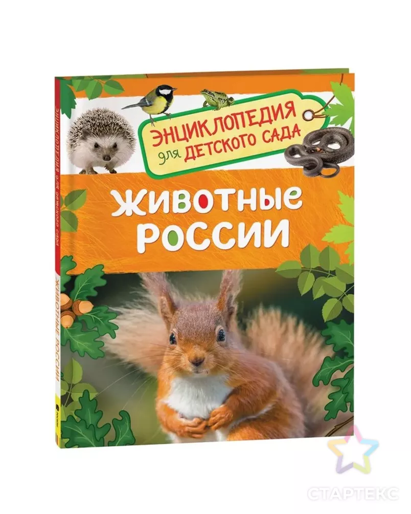 Энциклопедия для детского сада «Животные России» арт. СМЛ-50232-1-СМЛ0002830904 - рис. 1