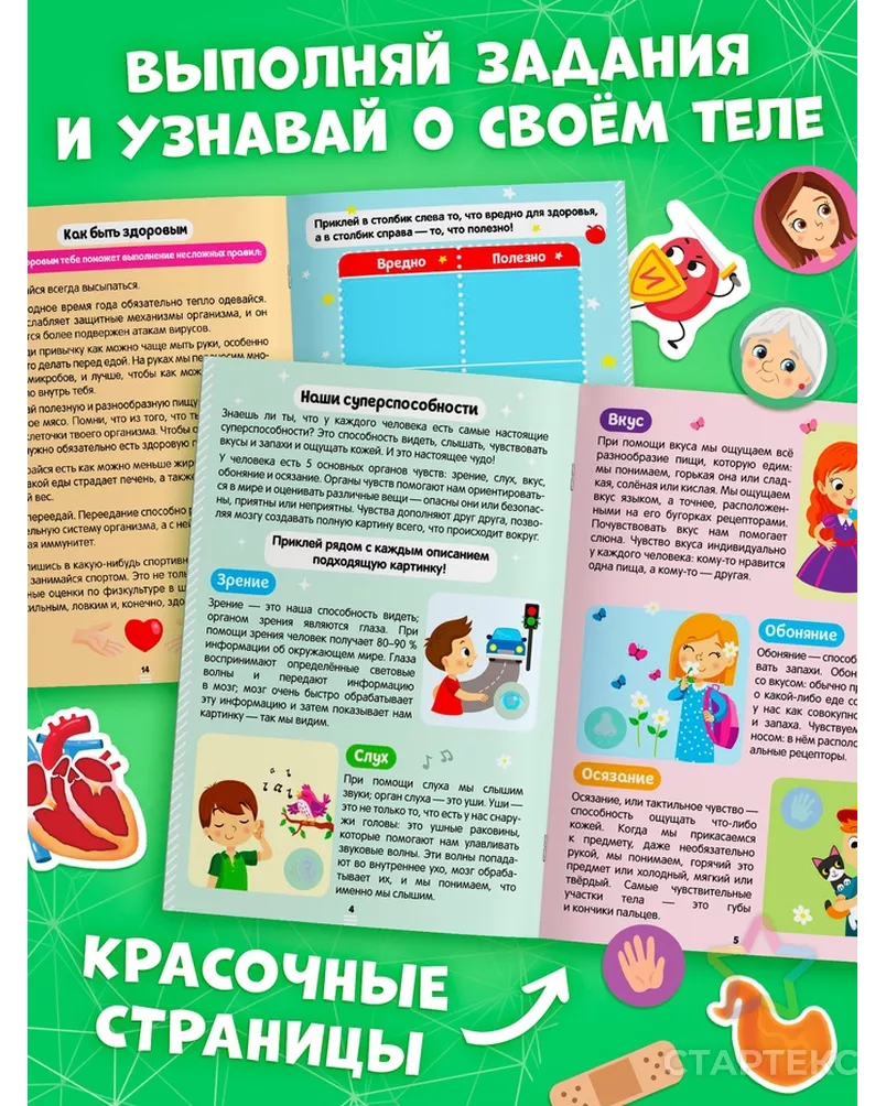 Наклейки «Секреты тела человека», 16 стр. арт. СМЛ-127533-1-СМЛ0004859819 - рис. 3