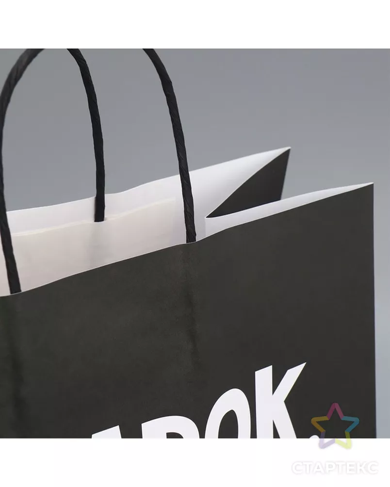 Пакет подарочный крафтовый, упаковка, «Киса», 28×32×15 см арт. СМЛ-280623-1-СМЛ0009304740 - рис. 3