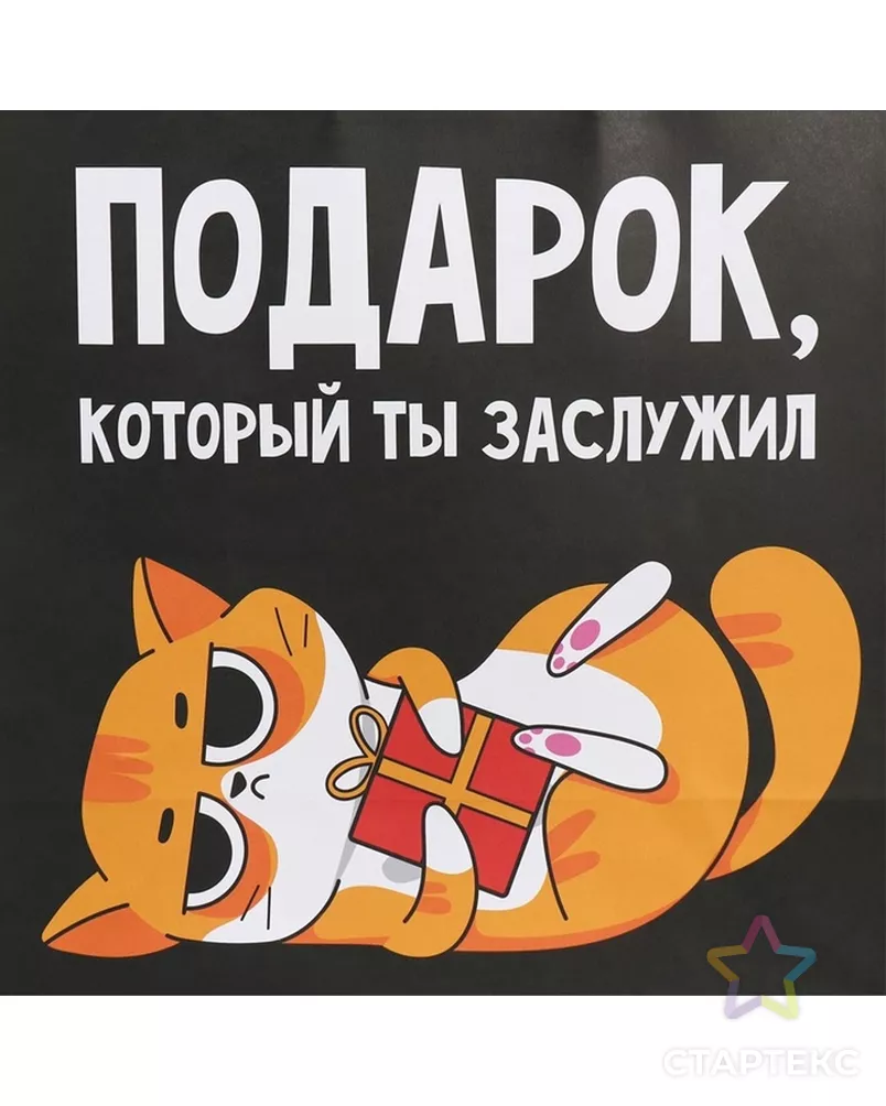 Пакет подарочный крафтовый, упаковка, «Киса», 28×32×15 см арт. СМЛ-280623-1-СМЛ0009304740 - рис. 4