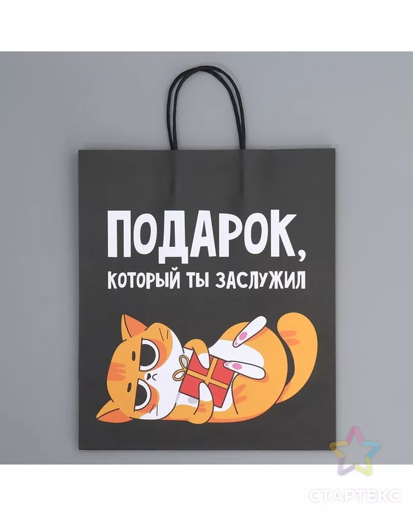 Пакет подарочный крафтовый, упаковка, «Киса», 28×32×15 см арт. СМЛ-280623-1-СМЛ0009304740 - рис. 5