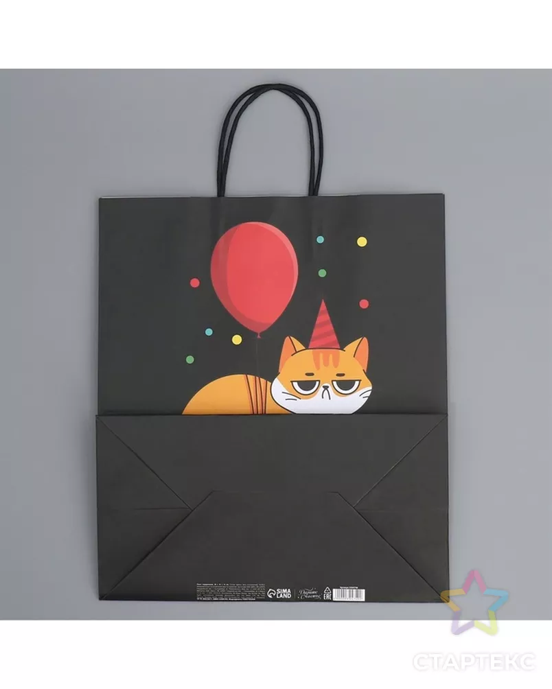 Пакет подарочный крафтовый, упаковка, «Киса», 28×32×15 см арт. СМЛ-280623-1-СМЛ0009304740 - рис. 6
